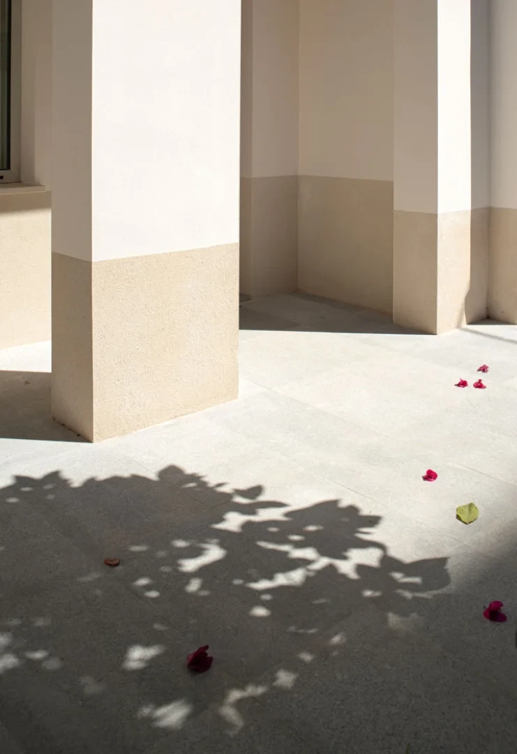 Patio de muros encalados con sombras del arbolado en la Casa del Limonero